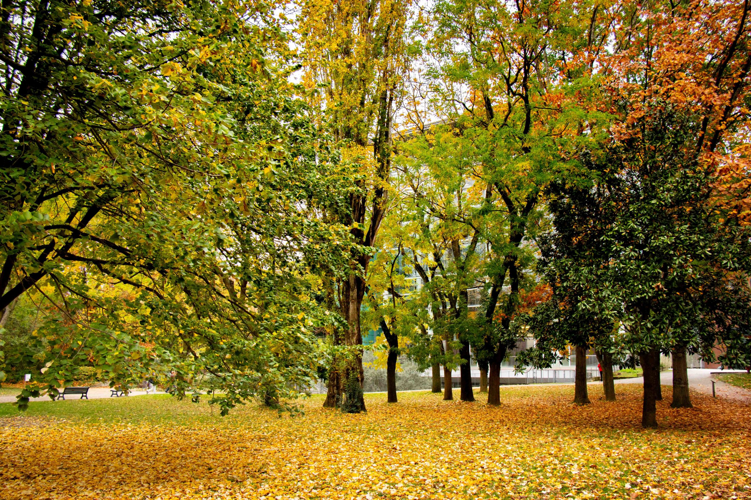 Jardin Compans Caffarelli